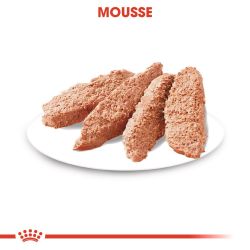 CCN STERILISED MOUSSE 12X85G