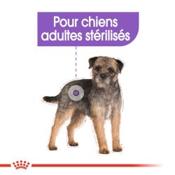 CCN STERILISED MOUSSE 12X85G