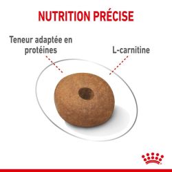 MEDIUM LIGHT WEIGHT CARE 3KG