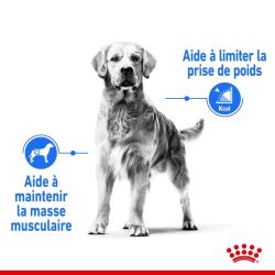 MEDIUM LIGHT WEIGHT CARE 3KG