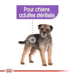 MINI STERILISED 3KG
