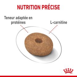 MINI LIGHT WEIGHT CARE 3KG