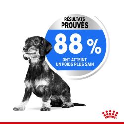 MINI LIGHT WEIGHT CARE 3KG