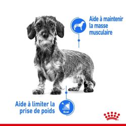 MINI LIGHT WEIGHT CARE 3KG