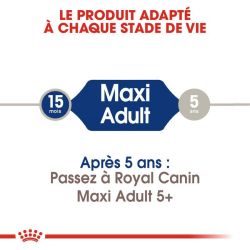 MAXI ADULT 15KG