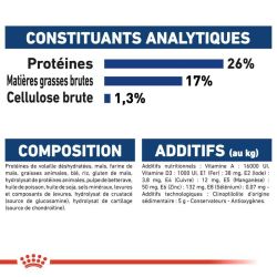 MAXI ADULT 15KG