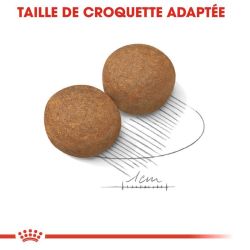 MAXI ADULT 15KG
