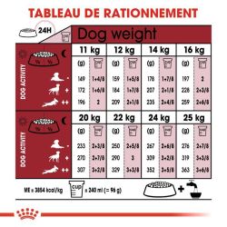 MEDIUM ADULT7+ 4KG