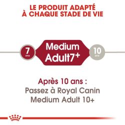 MEDIUM ADULT7+ 4KG
