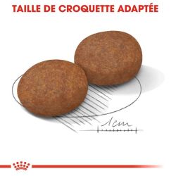 MEDIUM ADULT7+ 4KG