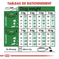 MINI ADULT8+ 2KG