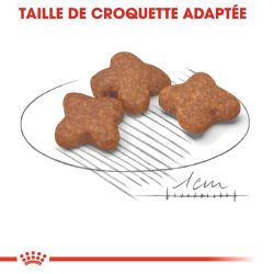 MINI ADULT8+ 2KG