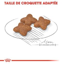 MINI ADULT 8KG