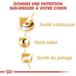 CAVALIER KING CHARLES ADULT 3KG