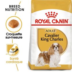 CAVALIER KING CHARLES ADULT 3KG