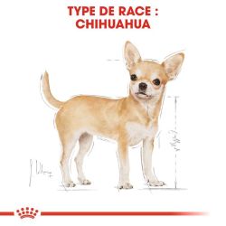 CHIHUAHUA ADULT 1,5KG