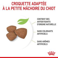 PUPPY MINI 2KG