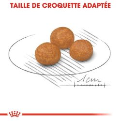 X-SMALL ADULT 1,5KG