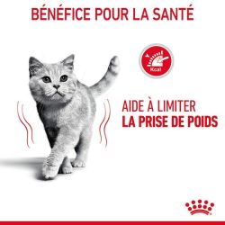 Royal Canin Ultra Light Pâtée en sauce 12x85g
