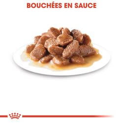 Royal Canin Ageing 12+ Sauce 12x85g