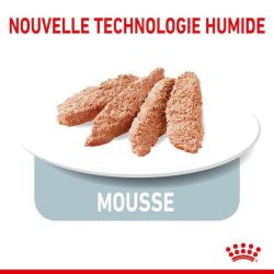 Royal Canin Sterilised Pâtée en mousse 12x85g