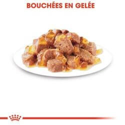 Royal Canin Instinctive en gelée 12x85g