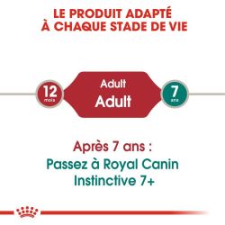 Royal Canin Instinctive en sauce 12x85g