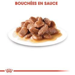 Royal Canin Instinctive en sauce 12x85g
