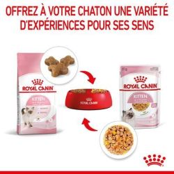 KITTEN GELEE 12X85G