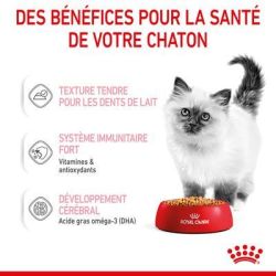 KITTEN GELEE 12X85G