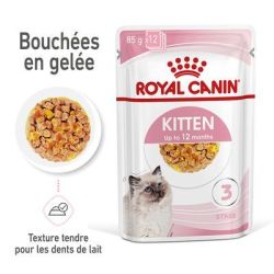 KITTEN GELEE 12X85G