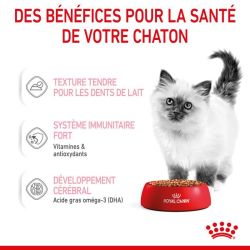 Royal Canin Kitten en sauce 12x85g