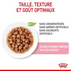 Royal Canin Kitten en sauce 12x85g