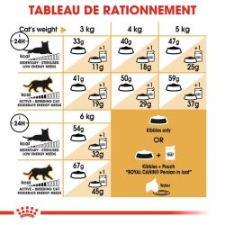 Royal Canin Persian 30