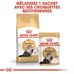 Royal Canin Persian 30