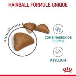 Royal Canin Hairball Care