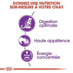 Royal Canin Chat Sensible 33 2KG