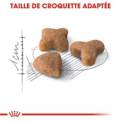 Royal Canin Chat Sensible 33 2KG