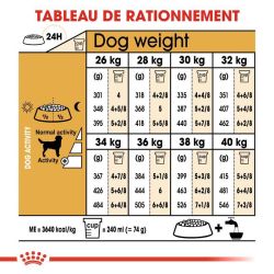 Royal Canin Labrador Retriever Adult