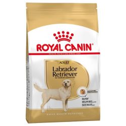 Royal Canin Labrador Retriever Adult