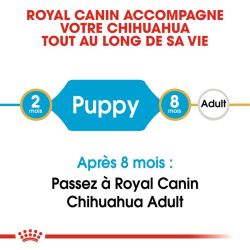 Royal Canin Chihuahua Junior