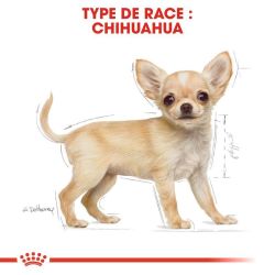 Royal Canin Chihuahua Junior