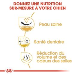 Royal Canin Shih Tzu