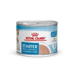 Royal Canin Boîte Starter Mousse