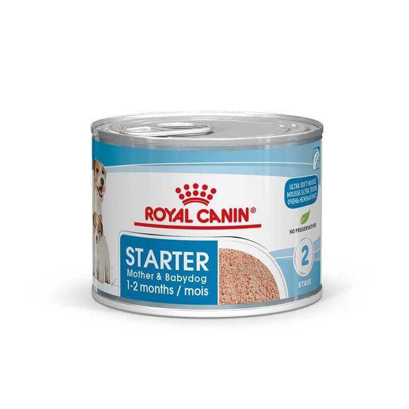 Royal Canin Boîte Starter Mousse Royal Canin Boîte Starter Mousse