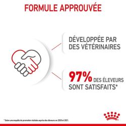 Royal Canin Boîte Starter Mousse
