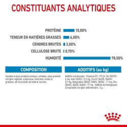 Royal Canin Boîte Starter Mousse