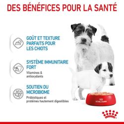 Royal Canin Boîte Starter Mousse