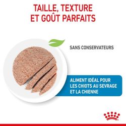 Royal Canin Boîte Starter Mousse
