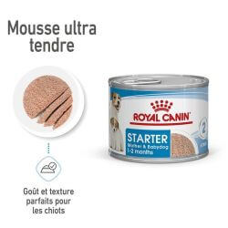 Royal Canin Boîte Starter Mousse